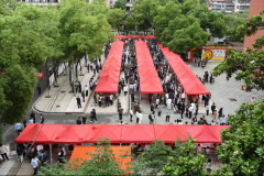目前具有4个国度级沉点专业、6个省级精